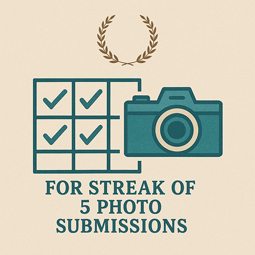 Max streak of at least 5 submissions